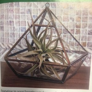 Meet your Posher, Jeff